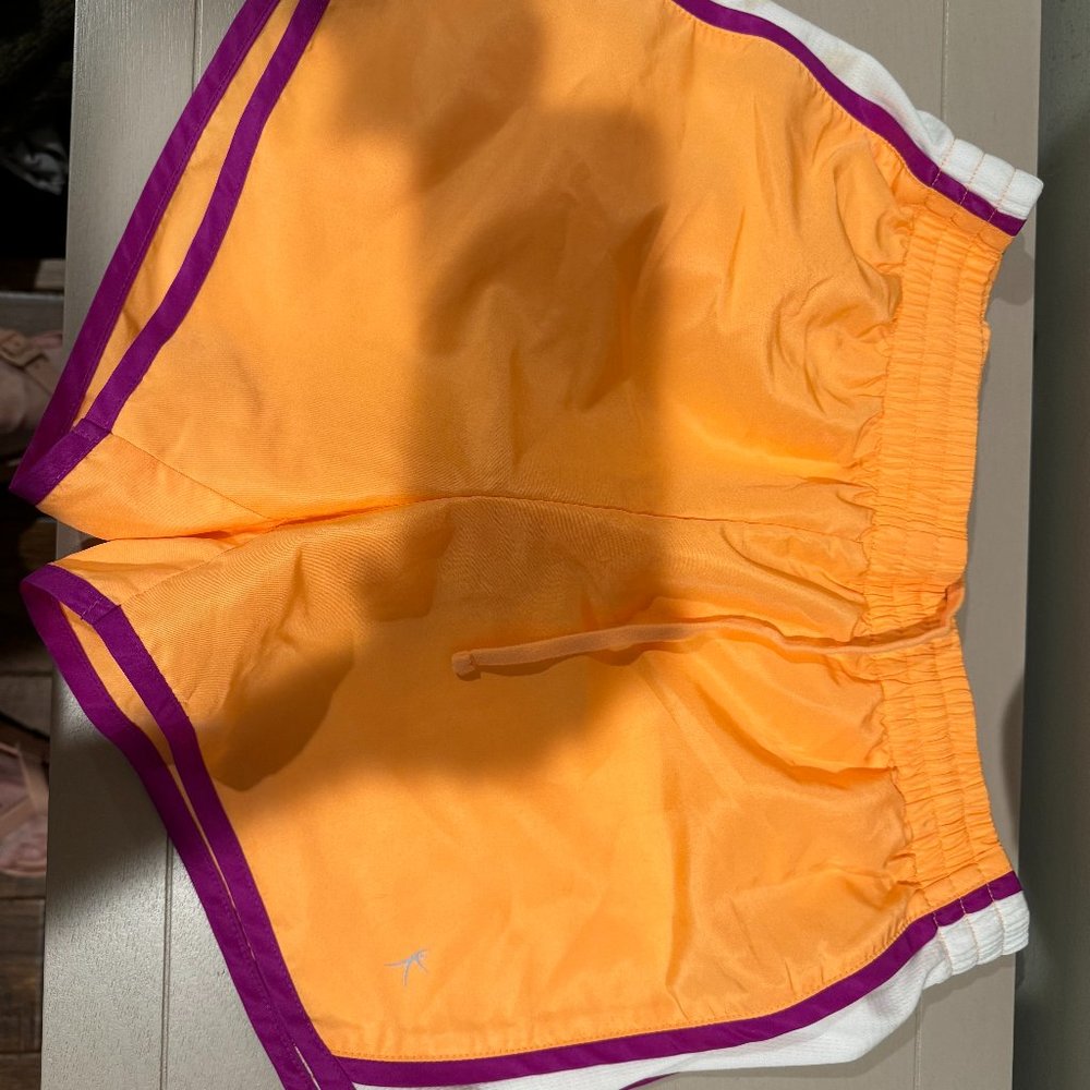 Danskin Now Shorts